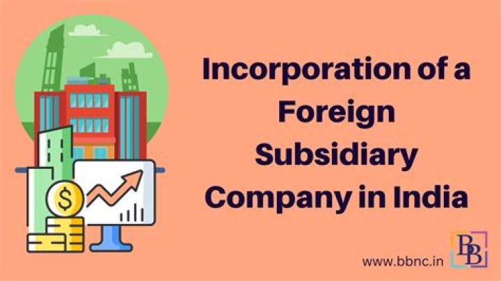 Can an S Corp own a foreign subsidiary?