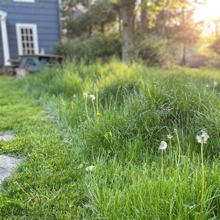 Can I buy a car from NY if I live in NJ?