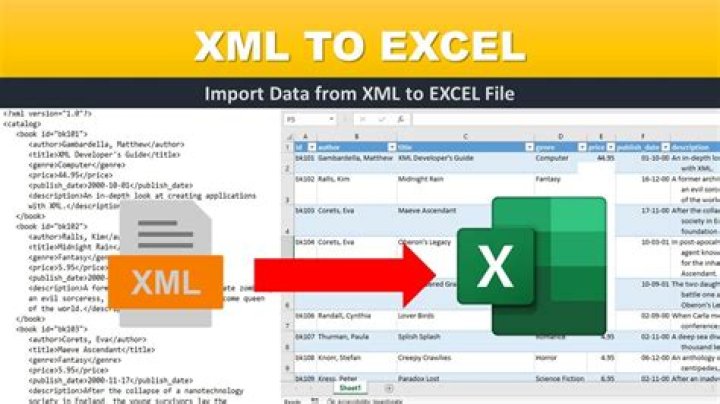 How do I get the XML return of my rectification?