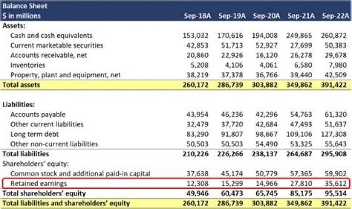 How do I report S Corp dividends?