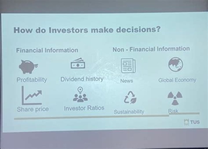 How do investors make decisions?