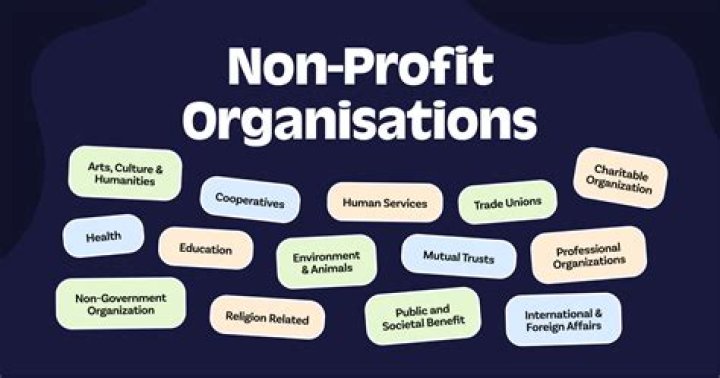 How is a non profit organization managed?
