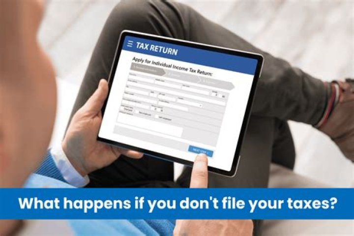 What happens if I dont file taxes 2020?