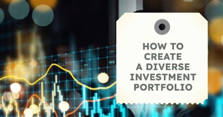What is a portfolio investment company?