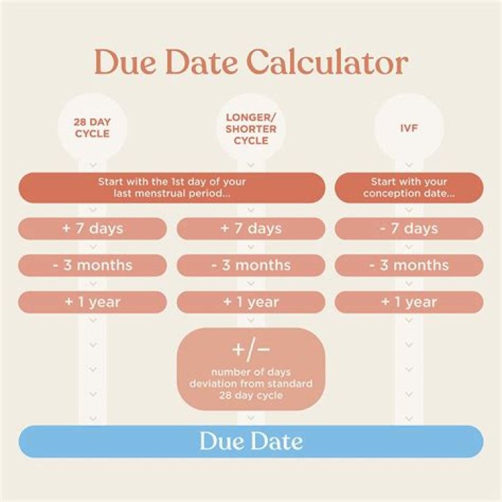 What is extended due date 1041?