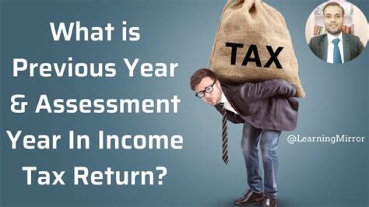 What is previous year in income tax?