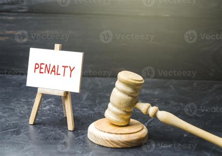 What penalties can the IRS impose?
