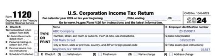 Who files an 1120S tax return?